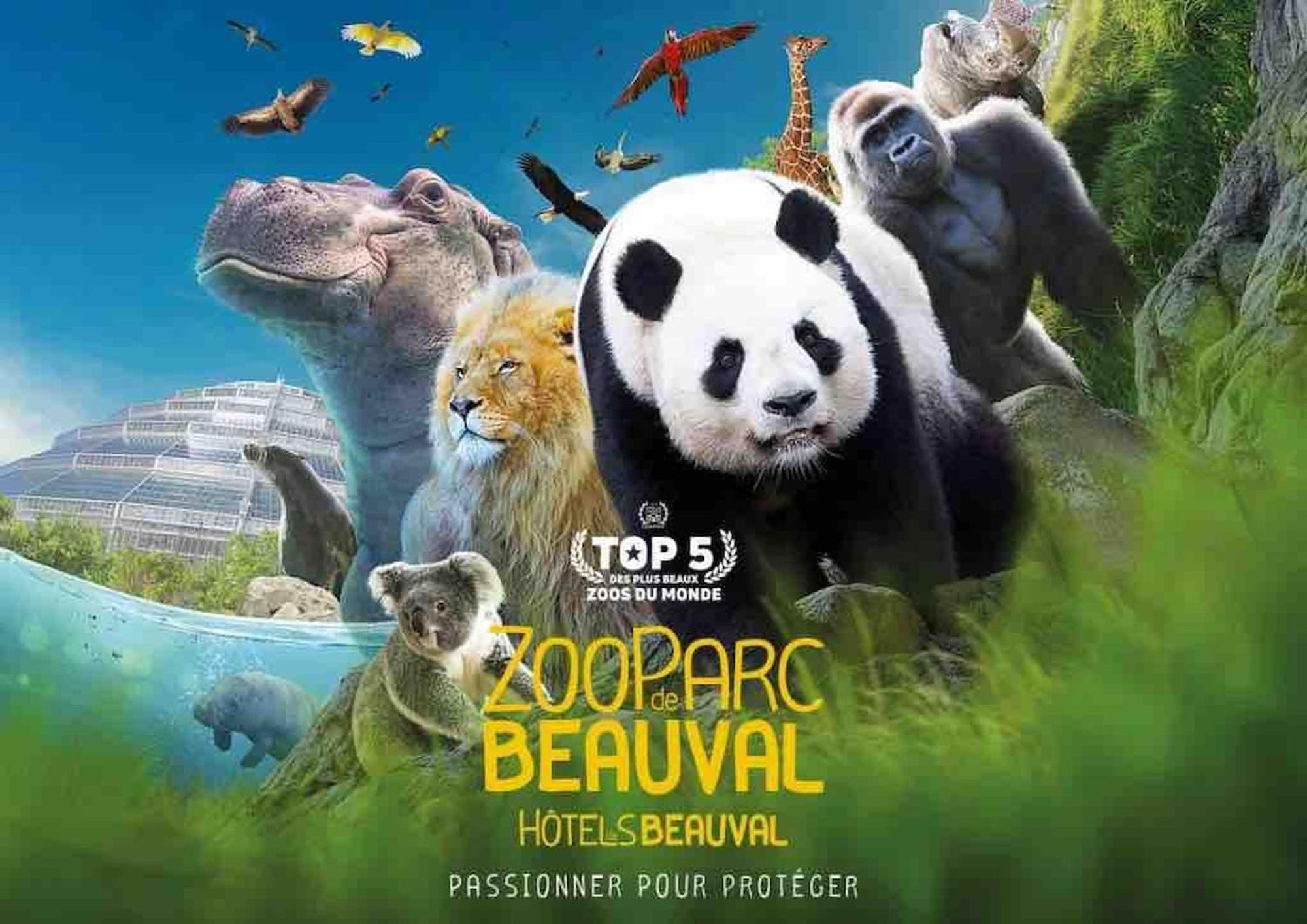 Duplex Charmant Au Coeur De Levroux Ngoại thất bức ảnh