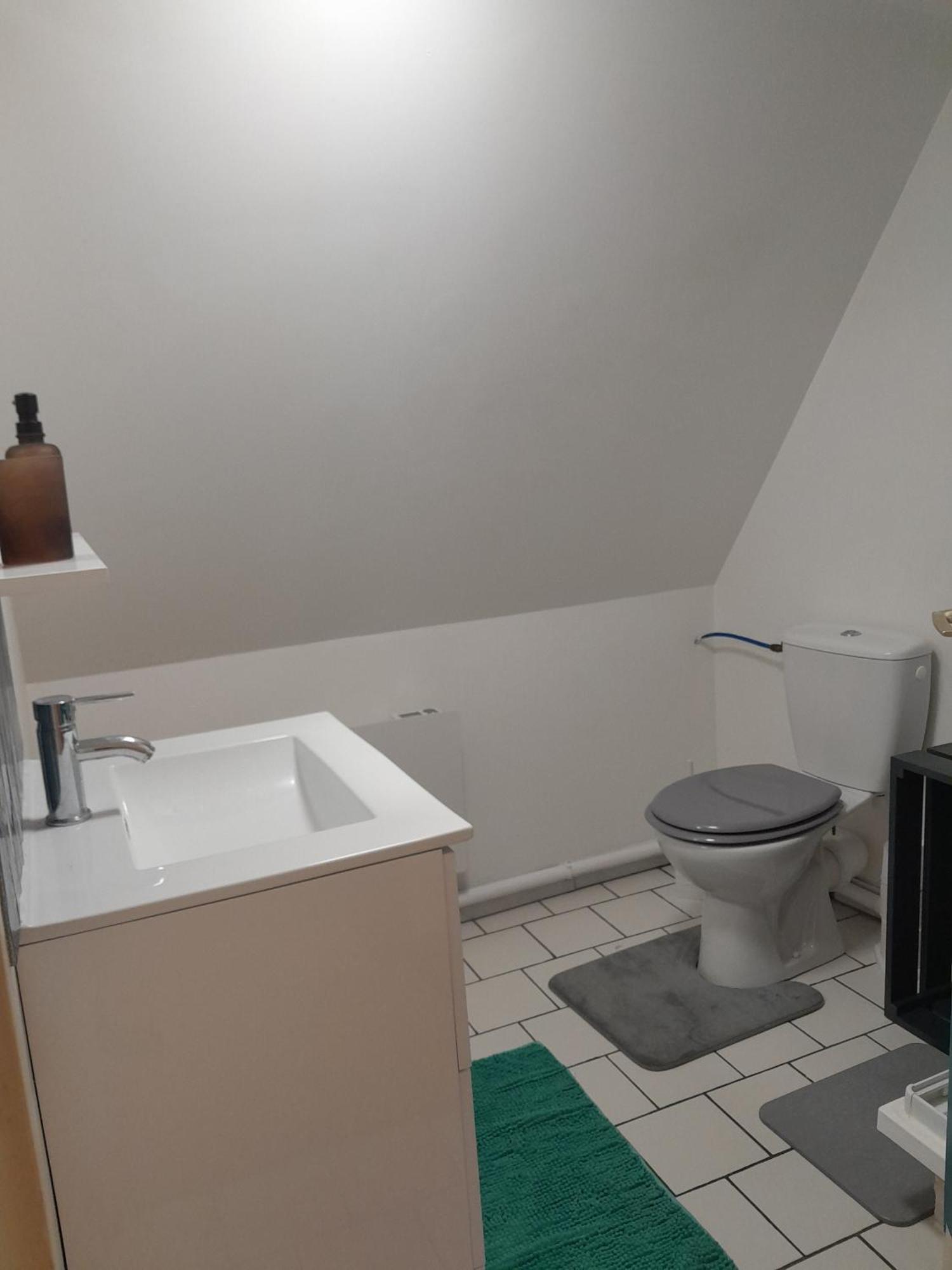Duplex Charmant Au Coeur De Levroux Ngoại thất bức ảnh